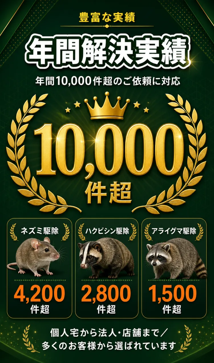 年間解決実績 10,000件超